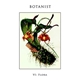 Botanist - VI: Flora